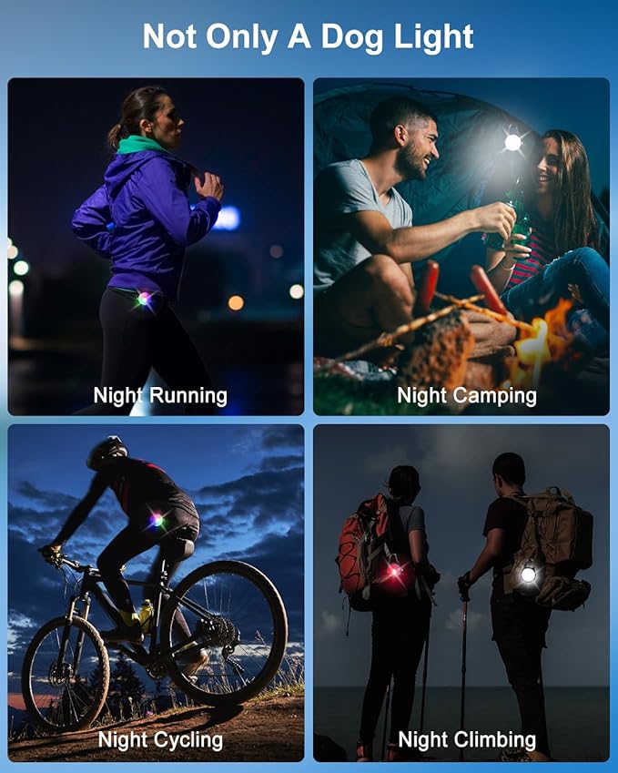 2 Pack Dog Collar Light, Rechargeable Dog Lights for Night Walking Clip On, 4 Modes Waterproof LED Collar Charm for Nighttime Running, Cycling, Pet Camping Essentials (Black)
