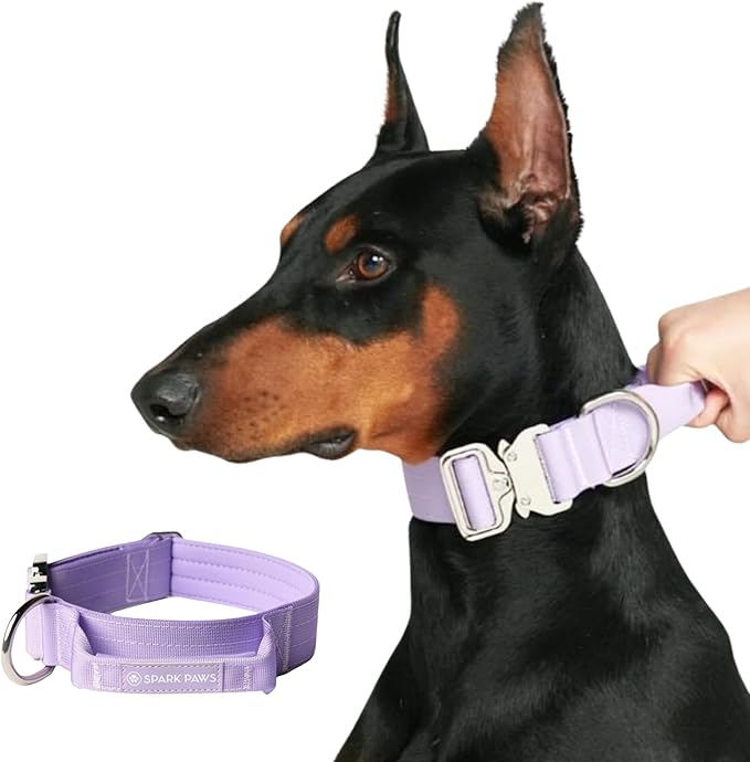 Spark Paws Tactical Dog Collar - Heavy Duty, Premium Quality, Thick and Durable for Large and Medium Dogs - Purple - L - 1.5"