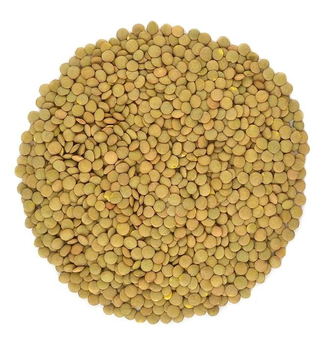 Organic Green Lentils Whole Raw, High Fiber Non-GMO-Bulk (3LB)