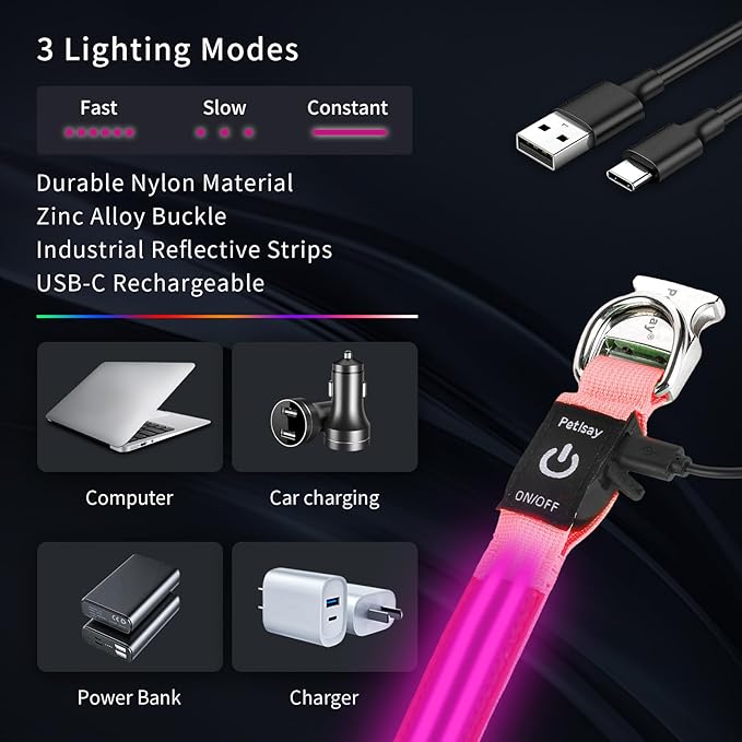 LED Dog Collar with Metal Buckle - USB Rechargeable Glow Collar for Dogs, Waterproof Light Up Dog Collar w/Reflective Strips - Adjustable Night Safety Collars by PetIsay(Pink, Small)