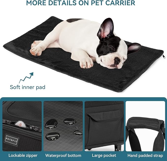 PETSFIT Extra Large Pet Carrier with Wheels- Rolling Dog Carrier for 2 Small Dogs, Large Cat Carrier on Wheels with Adjustable Safety Rope & Waterproof Bottom (?‘µ?’�?’• ?‘¨?’Š?’“?’�?’Š?’�?’† ?‘¨?’‘?’‘?’“?’�?’—?’†?’…)