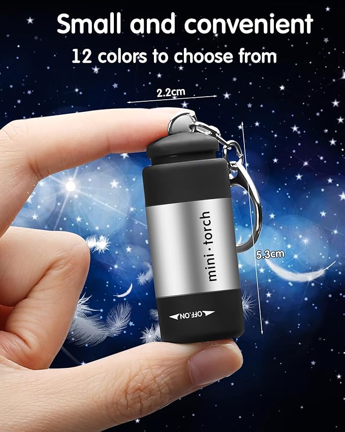 Mudder 12 Pieces Mini Keychain Flashlight Rechargeable Operation Christmas Bulk Plastic Small Torch Flashlight Handheld LED USB Rechargeable Waterproof for Camping Hiking Favor(White Light in Silver)