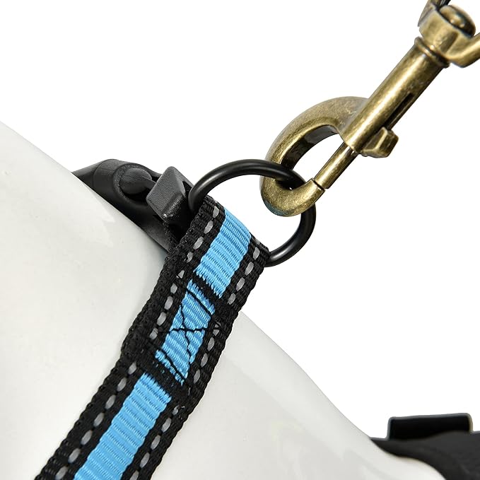 Mile High Life Dog Collar | Nylon Reflective Dog Collars | Light Weight Puppy Collars | Blue Dog Collars for Small Dogs (Blue, Small)
