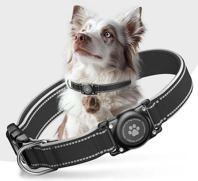 Airtag Dog Collar - 100% Waterproof AirTag Holder, Reflective, Soft Padded, Everlasting GPS Collar for Small to Large Dogs (Black, S)
