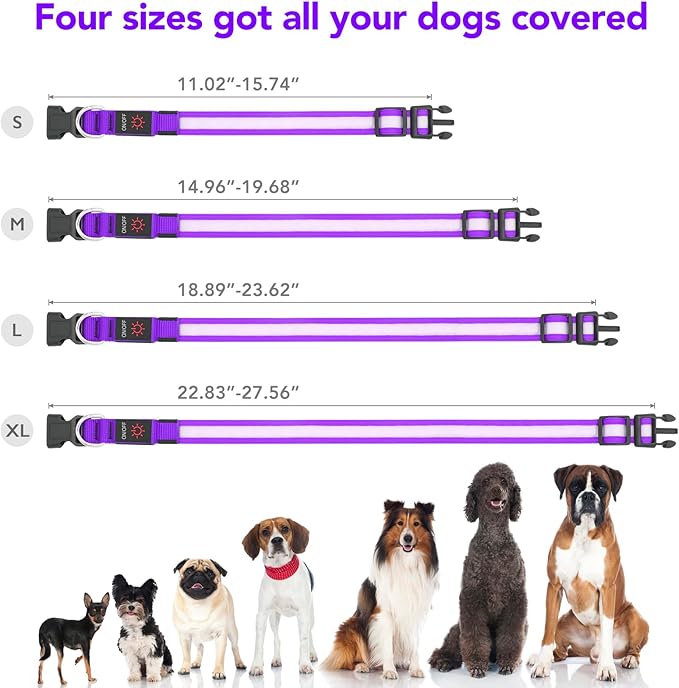 VIZPET LED Dog Collar, Light Up Dog Collar Adjustable USB Rechargeable Super Bright Safety Light Glowing Collars for Dogs (Purple, X-Large[22.83-27.55 inch/58-70cm])