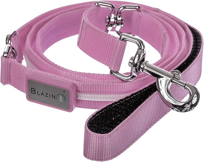 BLAZIN Light Up Dog Leash LED - 1,000 Feet of Visibility - USB Rechargeable Waterproof Glow in The Dark Dog Leash - 4 Foot, Lavender