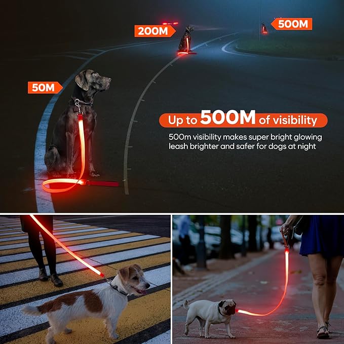 LED Dog Leash, Light Up Dog Leash 4 Ft USB Rechargeable Waterproof, Nylon Reflective Leashes with Padded Handle for Dogs Night Walking Light, Safety Glow in The Dark for Large Medium Pets (Orange)
