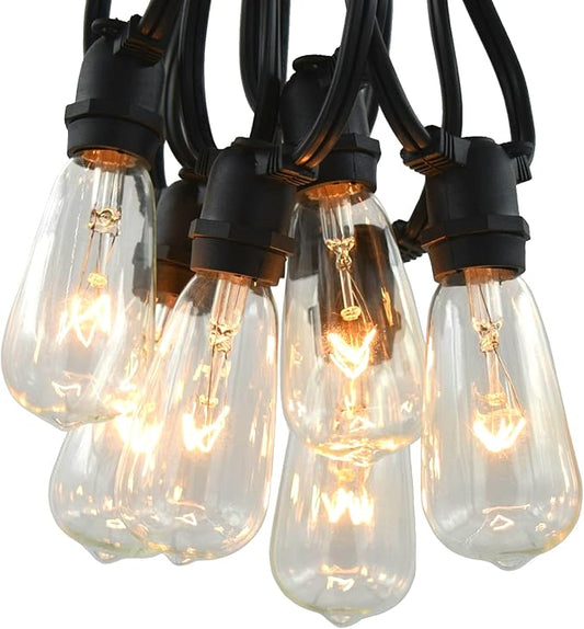 Hometown Evolution, Inc. Commercial Grade Vintage Edison Outdoor String Lights (ST40 Clear - Commercial Black Wire, 25 ft)