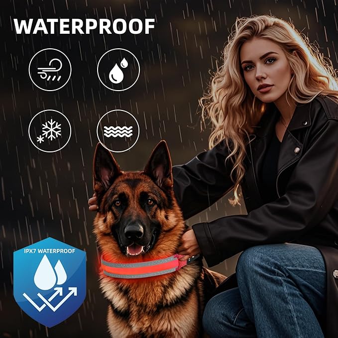 PetIsay LED Dog Collar Metal Buckle - Heavy Duty Light up Collars - Rechargeable IP68 Waterproof - Lighted Dog Collar for Night Walking, Hiking, Camping (Medium, Red)