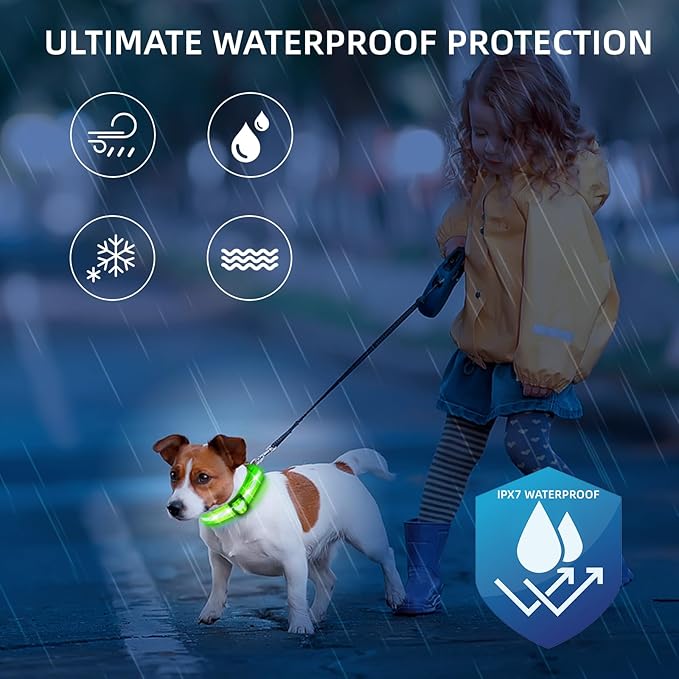 Super Bright LED Dog Collar - Fully Waterproof & Adjustable Glow Collar - USB-C Rechargeable for Night Walking, Safety - Flashing Lighted Collar for Dogs(Green,Small)