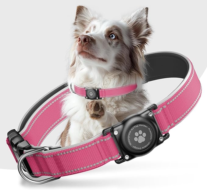 Airtag Dog Collar - 100% Waterproof AirTag Holder, Reflective, Soft Padded, Everlasting GPS Collar for Small to Large Dogs (Hot Pink, XL)