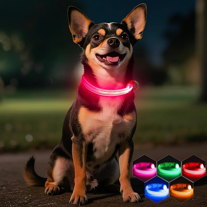 Light Up Dog Collar- Rechargeable Puppy Collars Glow in The Dark LED Dog Collar for Night Walking (X-Small, Pink)