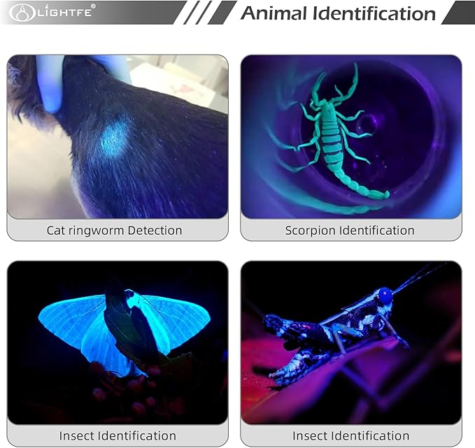 LIGHTFE Black Light D11A 395nm Ultraviolet Flashlight with high-Power Ultraviolet LED Light Source Suitable for UV Glue Curing, Rock Mineral Detection, pet Urine Detection lamp, AC Leak Detector