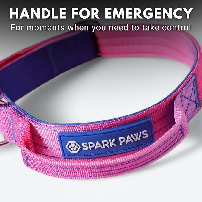 Spark Paws Tactical Dog Collar - Heavy Duty, Premium Quality, Thick and Durable for Large and Medium Dogs - Snow Cone - XS - 1"