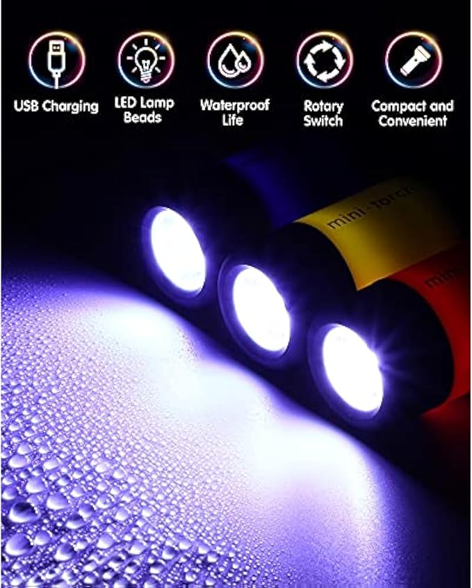 Mudder 12 Pieces Mini Keychain Flashlight Rechargeable Operation Christmas Bulk Plastic Small Torch Flashlight Handheld LED USB Rechargeable Waterproof for Camping Hiking Favor(White Light)