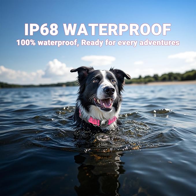 AirTag Dog Collar, IP68 Waterproof Integrated Air Tag Dog Collars with Reflective, Ultra-Durable, Comfortable Padded, Heavy Duty Dog Collars for Small Medium Large Dogs, M (12.6"-17.1"), Pink