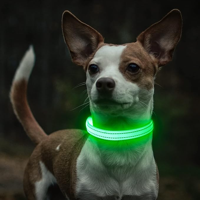 Light Up Dog Collar for Small Dogs - Rechargeable Puppy Collars Glow in The Dark LED Dog Collar Lights for Night Walking（X-Small, Green）