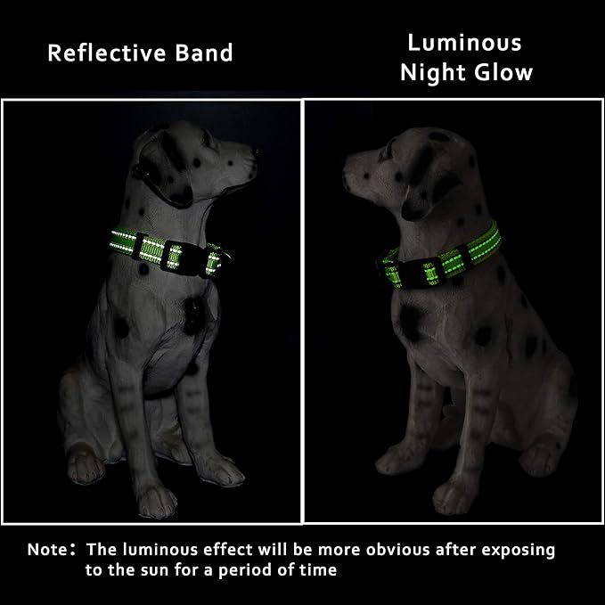 Mile High Life Reflective Dog Collar, Basic Dog Collars Adjustable Quick Release, Soft Nylon Pet Collar with Metal D-Ring for Small Medium Large Dogs (Lime, M Neck13-17")