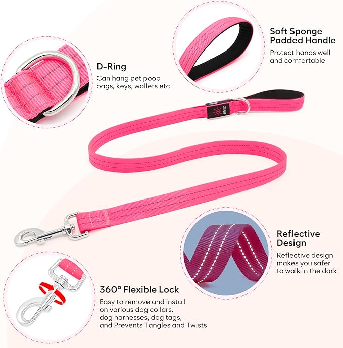 LED Dog Leash, 4 Ft Light Up, USB Rechargeable, Waterproof, Nylon Reflective with Padded Handle, Glow in The Dark for Large, Medium, Small Pets (Pink)