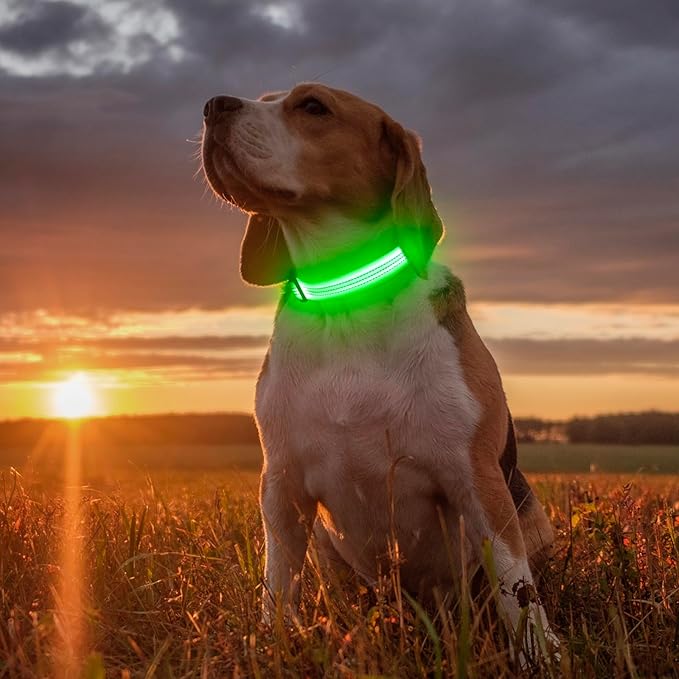 Illumifun Light Up Dog Collar, USB Rechargeable LED Dog Collar, Reflective Flash Pet Lighted Collar for Nighttime Walking (Green?? Large)