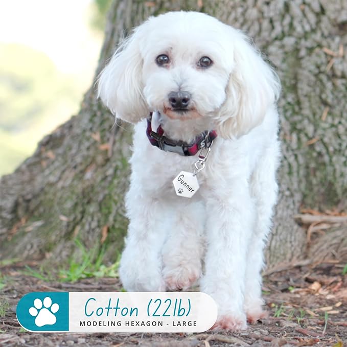 Ultra Joys Personalized Dog Tags - Hollow Paw Custom Pet ID - Engraved Dog Tags for Small, Large Dogs - Large Hexagon in Silver