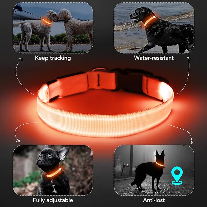 Light Up Collar at Night, LED Adjustable, Rechargeable Waterproof Dog Lights for Night Walking, Glow in The Dark for Medium Large Dogs