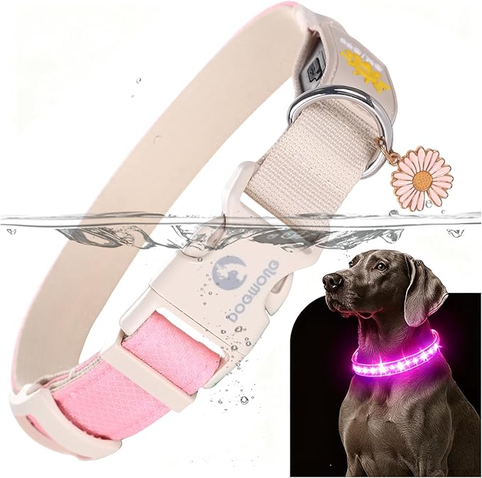 DOGWONG LED Dog Collar - Heavy Duty Light up Collars - Rechargeable Waterproof - Lighted Dog Collar for Night Walking, Hiking, Camping(Pink,L)