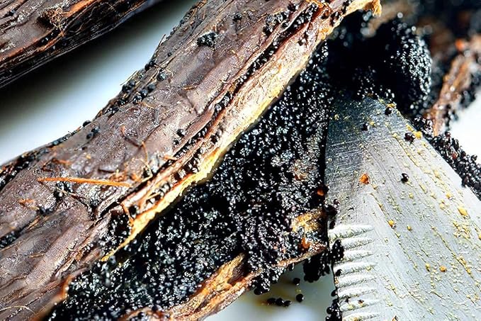 25 Organic Madagascar Vanilla Beans- NON- GMO For Brewing and Making Homemade Extract 5-7" GRADE A