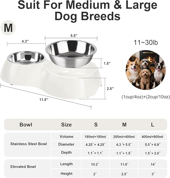 Double Dog Bowls Set ??Non-Slip Pet Food & Water Dishes with Resin Stand, Includes Small (1 Cup) & Medium (2 Cups) Bowls ??Ideal for Puppies, Cats, and Medium Dogs ??White