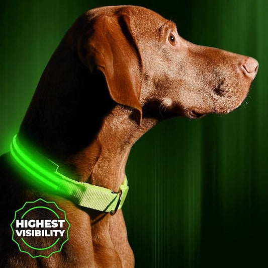 ILLUMISEEN LED Dog Collar USB Rechargeable - Bright & High Visibility Lighted Glow Collar for Pet Night Walking - Weatherproof, in 6 Colors & 6 Sizes (Green X-Large)