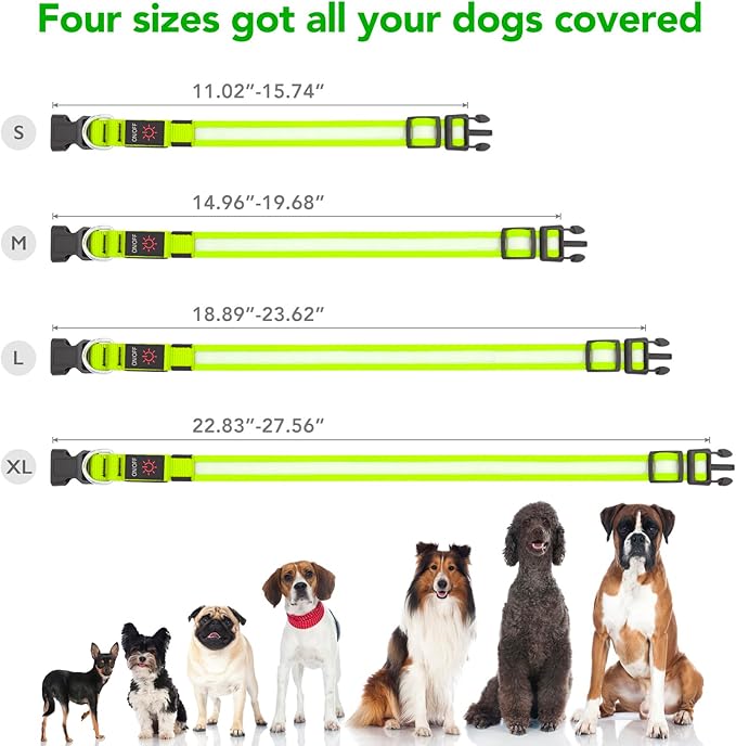 Vizpet LED Dog Collar, Light Up Dog Collar Adjustable USB Rechargeable Super Bright Safety Light Glowing Collars for Dog(Small,Green)
