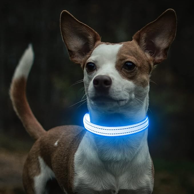 Light Up Dog Collar - Rechargeable Puppy Collar Glow in The Dark LED Dog Collar Lights for Small Dogs & Cats (X-Small, Blue)