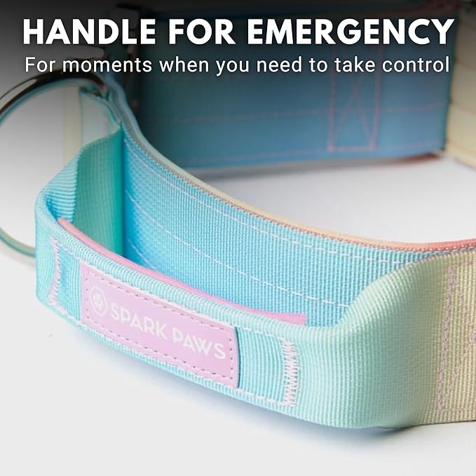 Tactical Dog Collar with Handle - Premium Quality Collar, Robust and Durable Design for Large, Strong Breeds - Pitbulls, Labradors, GSD - Pastel Icing - L