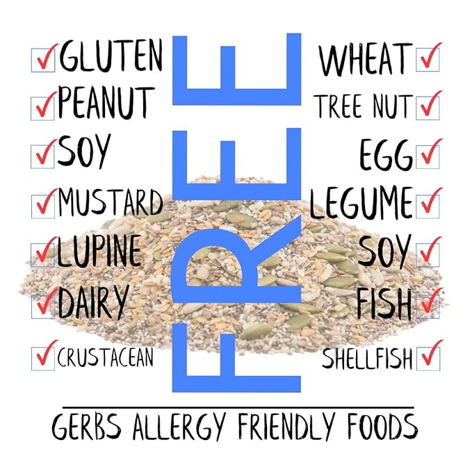 Gerbs Super 7 Seed Snack Mix 14 oz. | Raw, No Additives, Resealable Bag | Crunchy Pumpkin, Sunflower, Brown & Golden Flax, Black & White Chia, Hemp | Top 14 Allergen-Free