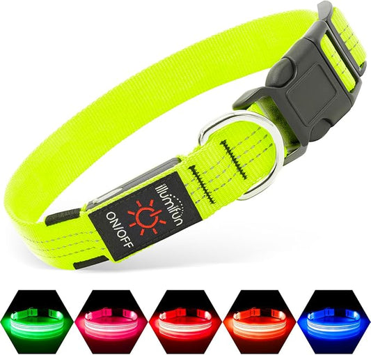 Illumifun Light Up Dog Collar - USB Rechargeable LED Dog Collar, Adjustable Lighted Pet Safety Collar for Night Walking (GreenⅢ, Small)