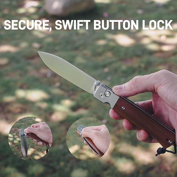 CJRB Glacier Folding Knife, 3.54'' AR-RPM9 Steel Blade EDC Knives with Wood Handle for Camping Hiking Survival(1961 Wood)