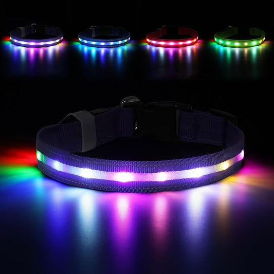 LED Dog Collar, Light Up Dog Collar, USB Rechargeable - Brightest Dog Lights for Night Walking, 6 Light Modes, Adjustable for Dog Safety(Small, Purple)