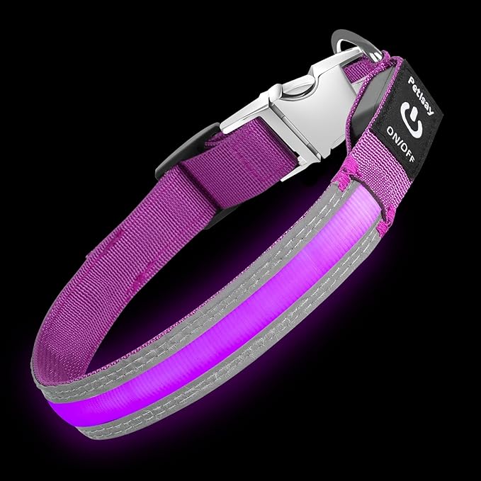 PetIsay LED Dog Collar Metal Buckle - Heavy Duty Light up Collars - Rechargeable IP68 Waterproof - Lighted Dog Collar for Night Walking, Hiking, Camping (Large, Purple)