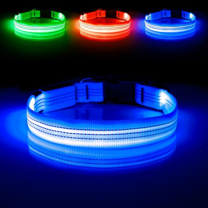 Illumifun LED Dog Collar - USB Rechargeable Dog Light Up Collar, Reflective Pet Collar Light Glow in The Dark (Blue?? Medium)