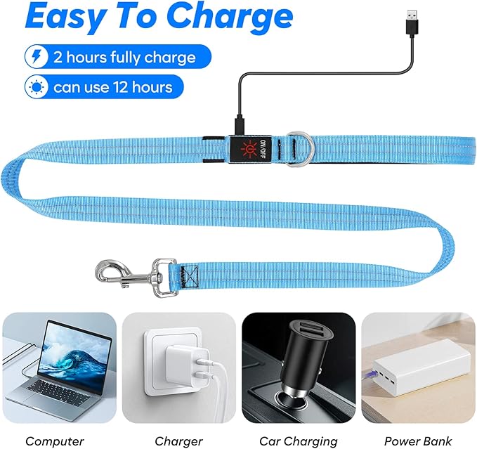 4 Ft LED Dog Leash, Rechargeable Light Up, Waterproof, Glow In The Dark, Nylon Reflective With Padded Handle For Small, Medium, Large Pets