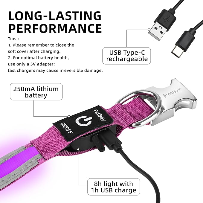 PetIsay LED Dog Collar Metal Buckle - Heavy Duty Light up Collars - Rechargeable IP68 Waterproof - Lighted Dog Collar for Night Walking, Hiking, Camping (Large, Purple)