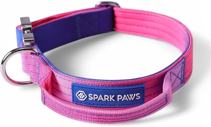 Spark Paws Tactical Dog Collar - Heavy Duty, Premium Quality, Thick and Durable for Large and Medium Dogs - Snow Cone - XS - 1"