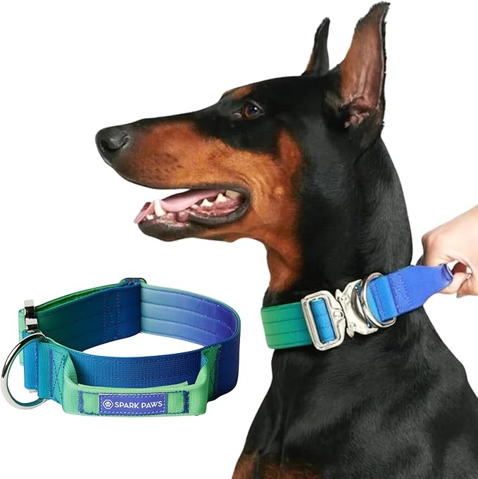 Spark Paws Tactical Dog Collar - Heavy Duty, Premium Quality, Thick and Durable for Large and Medium Dogs - Lime Wave - S - 1.5"