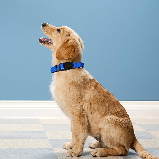Reflective Dog Collar, Adjustable Soft Neoprene Padded Nylon Pet Collars with Buckle for Large Dogs, Navy Blue,L