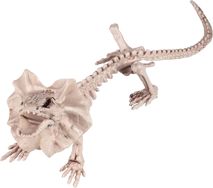 17" Frilled Lizard Skeleton Halloween Decoration- Weather Resistant for Indoor/Outdoor Spooky Decor- Perfect for Tabletop Party Decor, Haunted Houses, Graveyards- Agama Bones- Creepy Dragon Prop