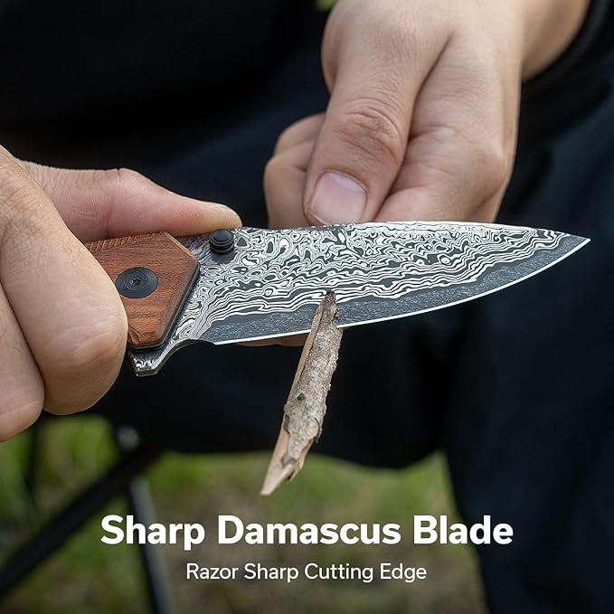 CIVIVI Photonix EDC Pocket Knife, Folding Knife with 3.7" Damascus Blade Wood Handle with Pocket Clip for Men Women, Camping Hiking Fishing Knife C23081B-DS1