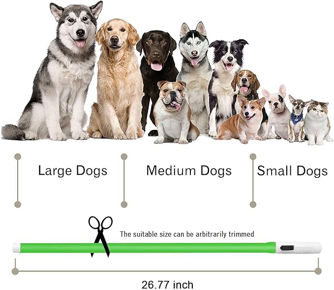 Illumifun LED Dog Necklace, USB Rechargeable Light Up Dog Collars, Flahing Dog Collar Light for Your Dogs Glow in The Dark (Green-Silicone)