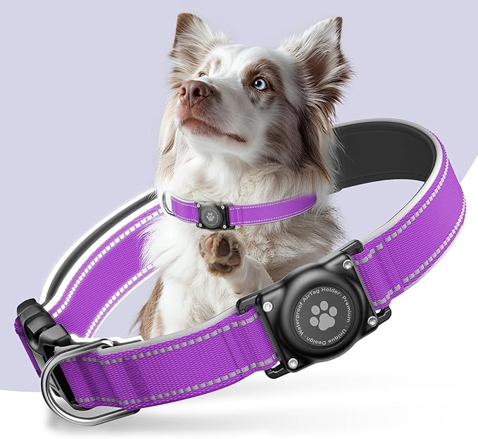 Airtag Dog Collar - 100% Waterproof AirTag Holder, Reflective, Soft Padded, Everlasting GPS Collar for Small to Large Dogs (Purple, L)