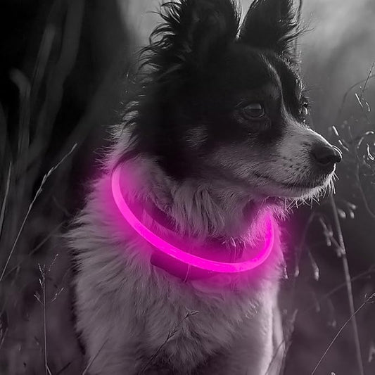 Light Up Dog Collar - Rechargeable LED Dog Collar Glow in The Dark, Illuminated Pet Safety Light for Night Walking (Candy Pink)