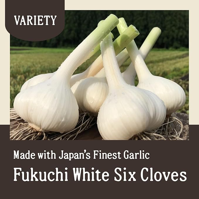 Black Garlic 7 oz (200 g) Japanese Fermented Superfood, Whole Bulbs